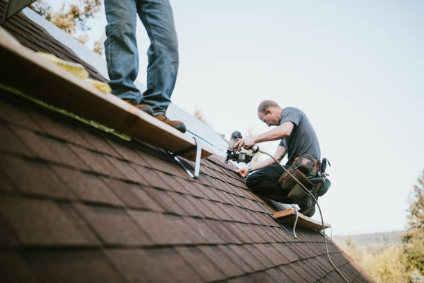 Best Roof Leak Repair  in Matteson, IL